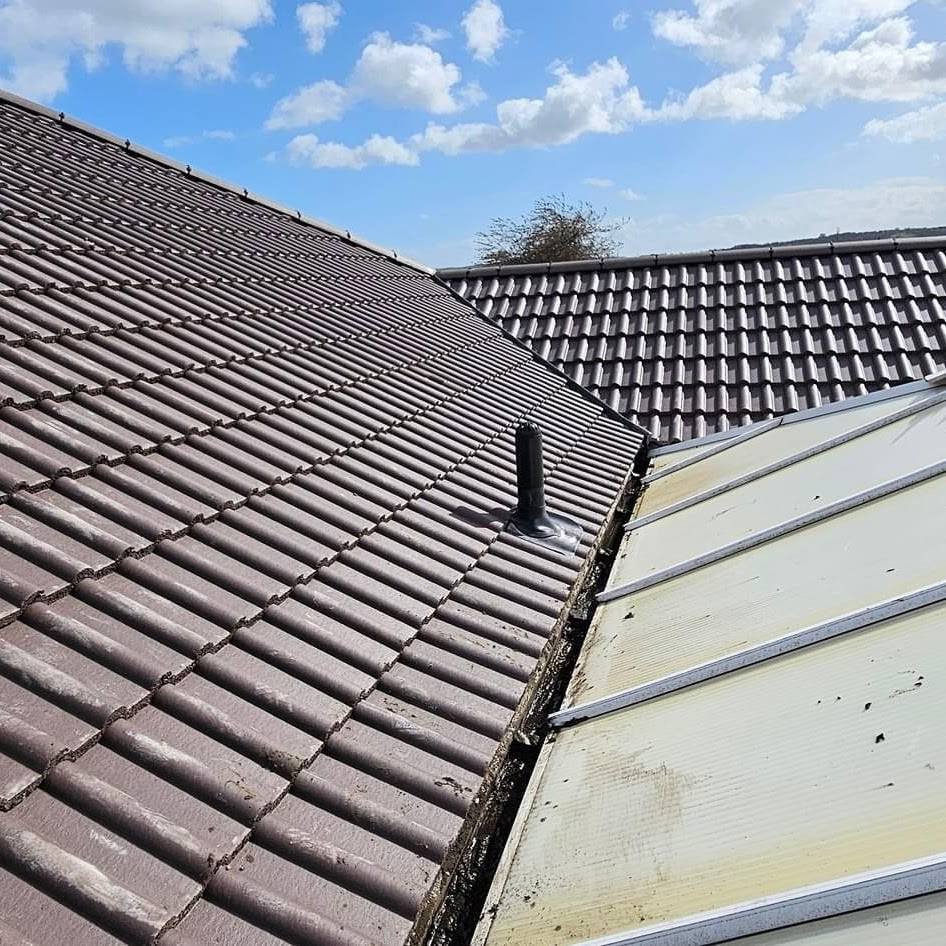 Moss & Roof Cleaning