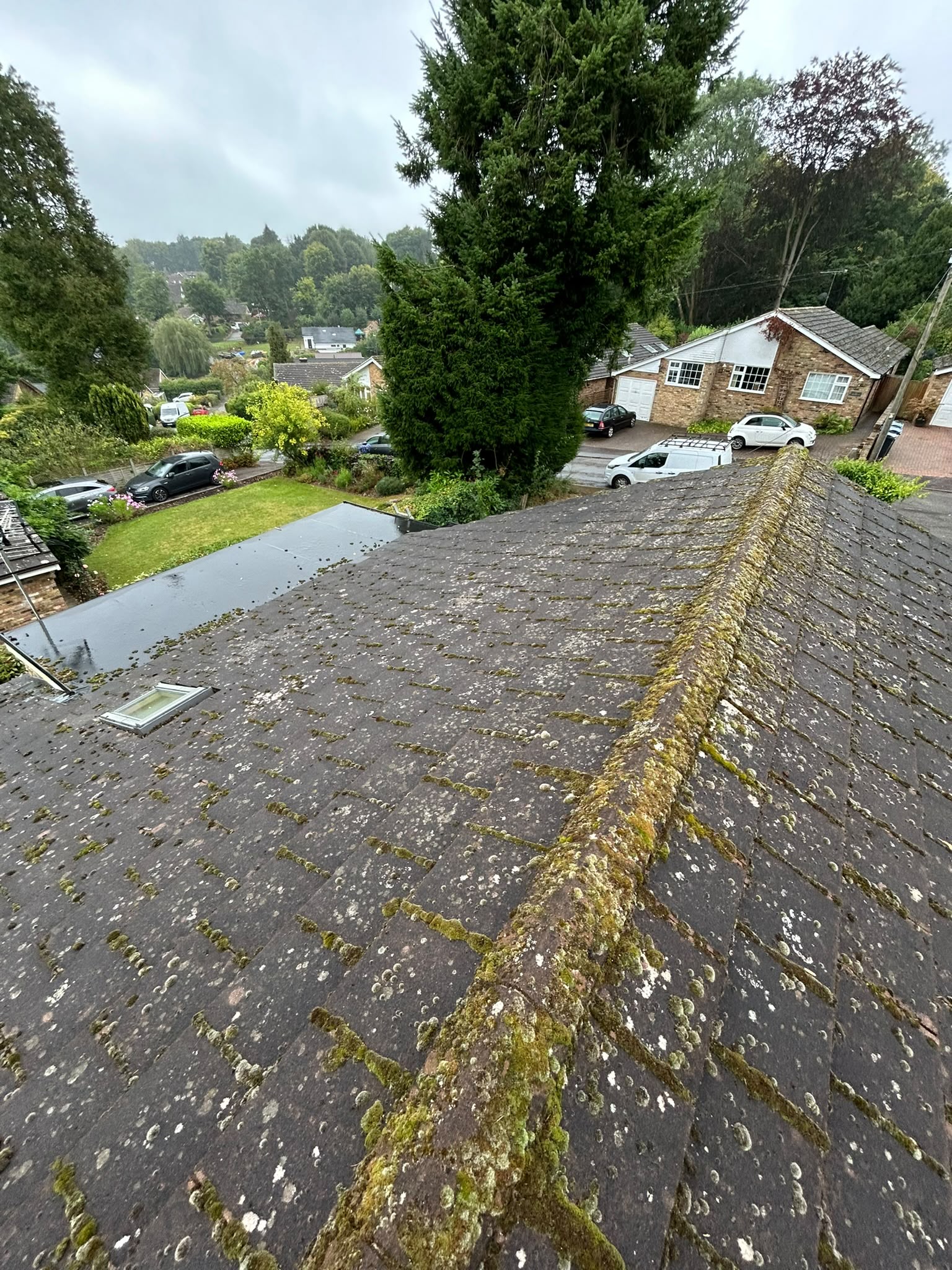 Moss & Roof Cleaning